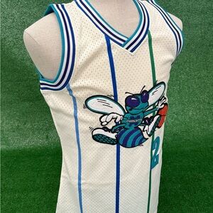 Mitchell & Ness Charlotte Hornets Cream Teal Blue Pinstripe Jersey